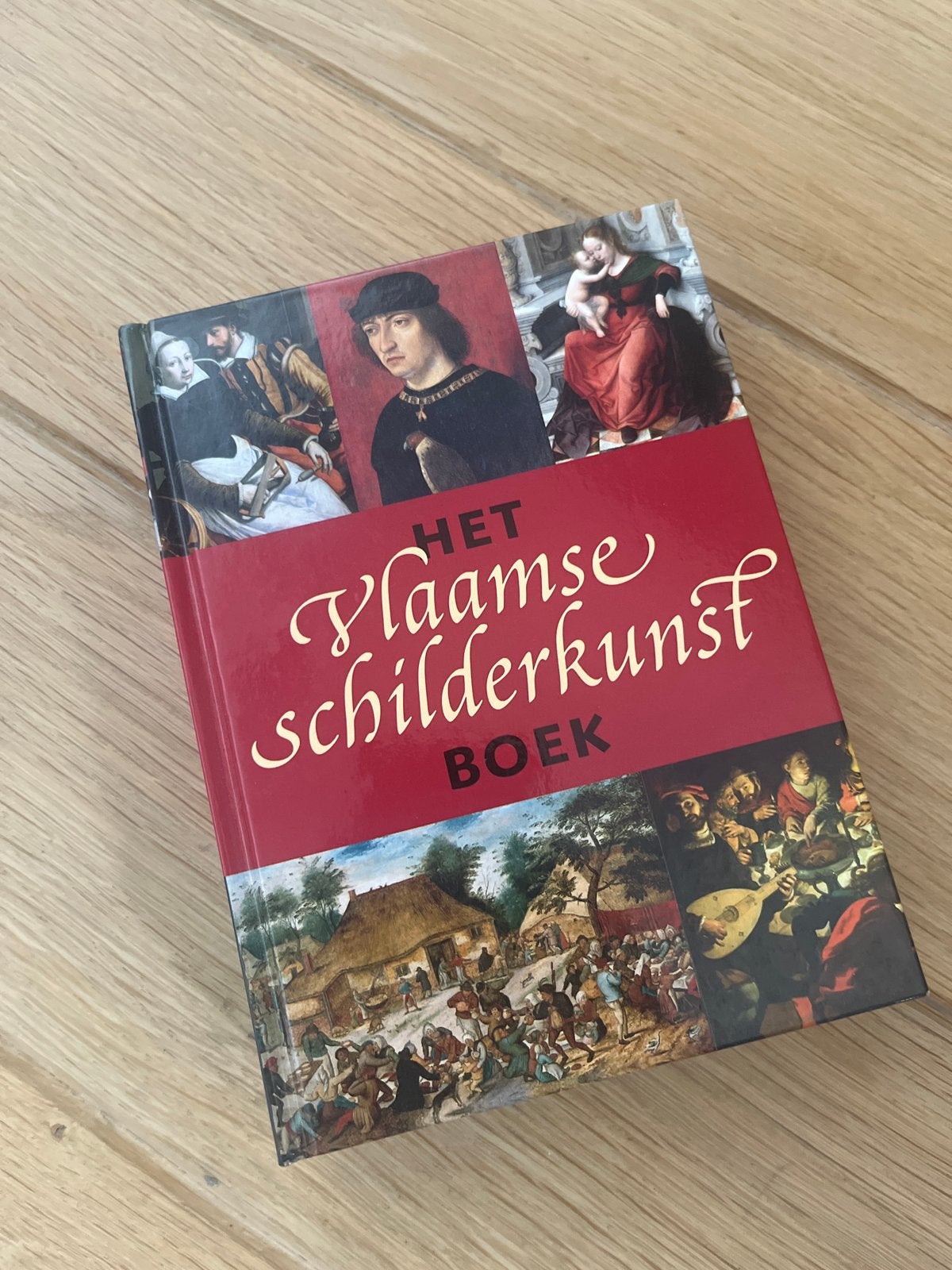 Het Vlaamse Schilderkunst Boek - Waanders Uitgevers, Boeken, Ophalen of Verzenden, Zo goed als nieuw, Schilder- en Tekenkunst