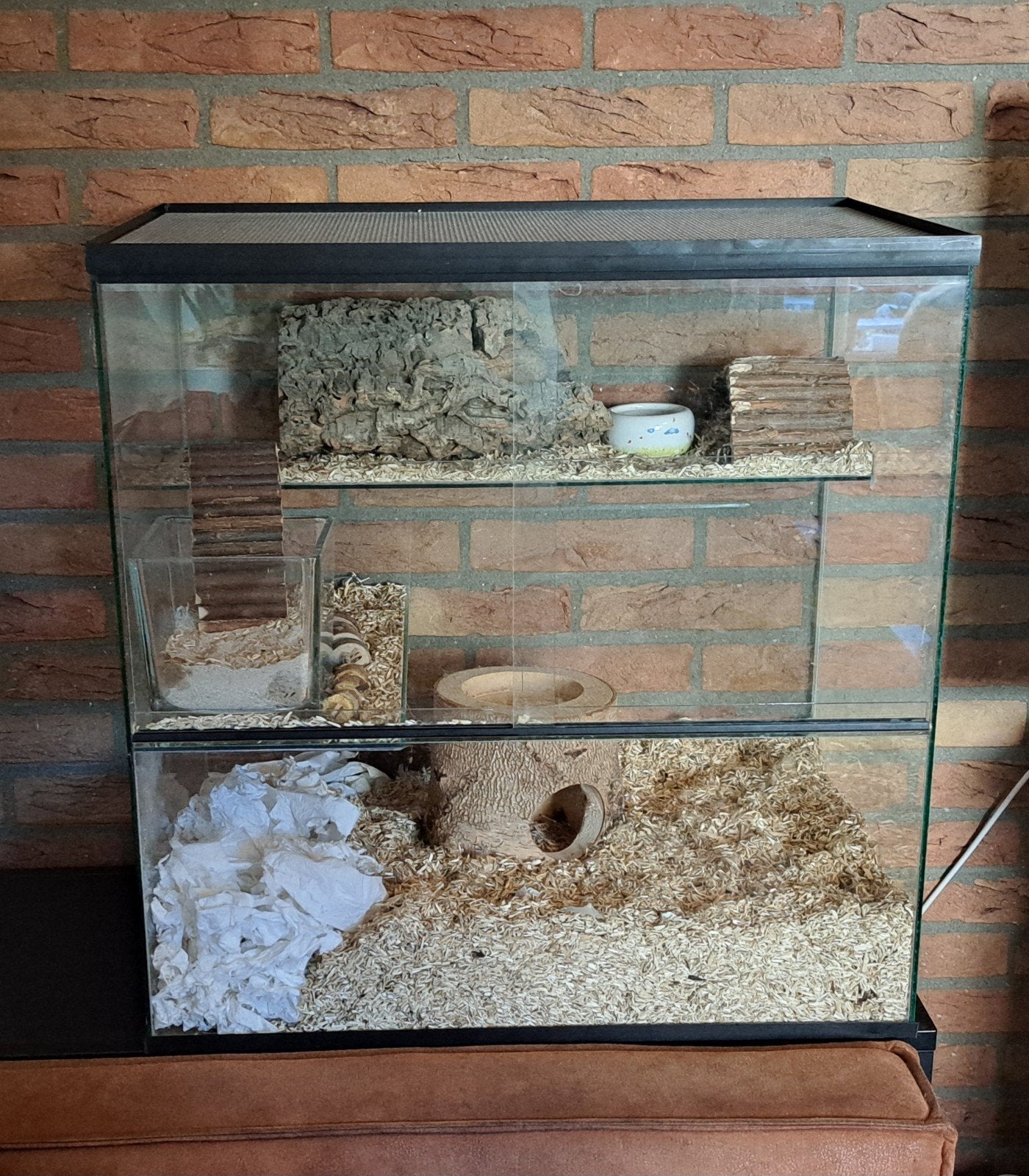 Grote bak/ kooi te koop!, Ophalen, 75 tot 110 cm, Kooi, Minder dan 60 cm
