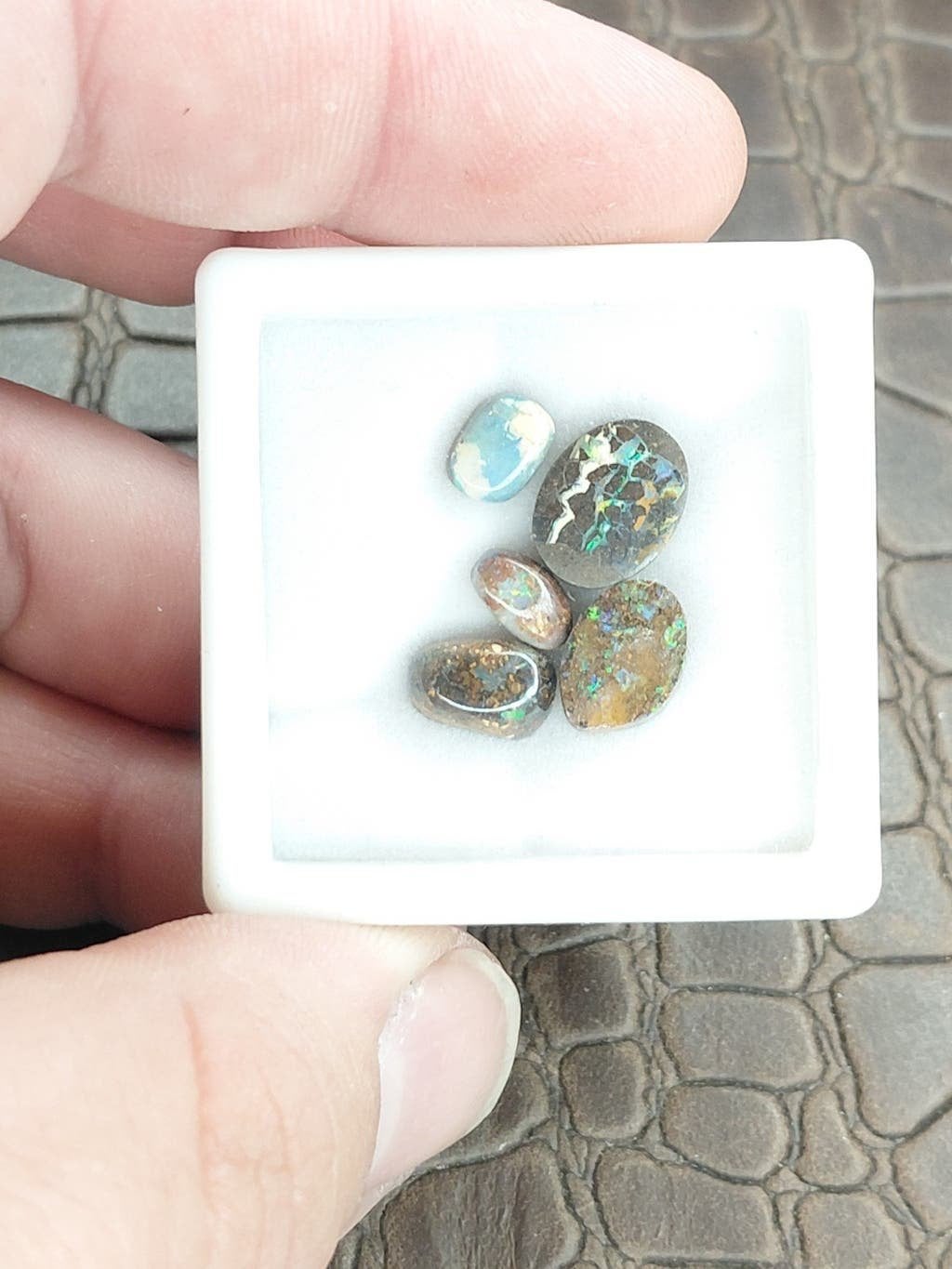 5 kleurrijke boulder opaal cabochons, Ophalen of Verzenden, Nieuw