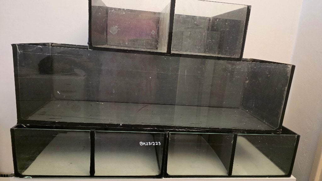 Complete betta kweek uitzet - alles in 1 koop!, Dieren en Toebehoren, Ophalen, Gebruikt, Inclusief deksel, Overige merken