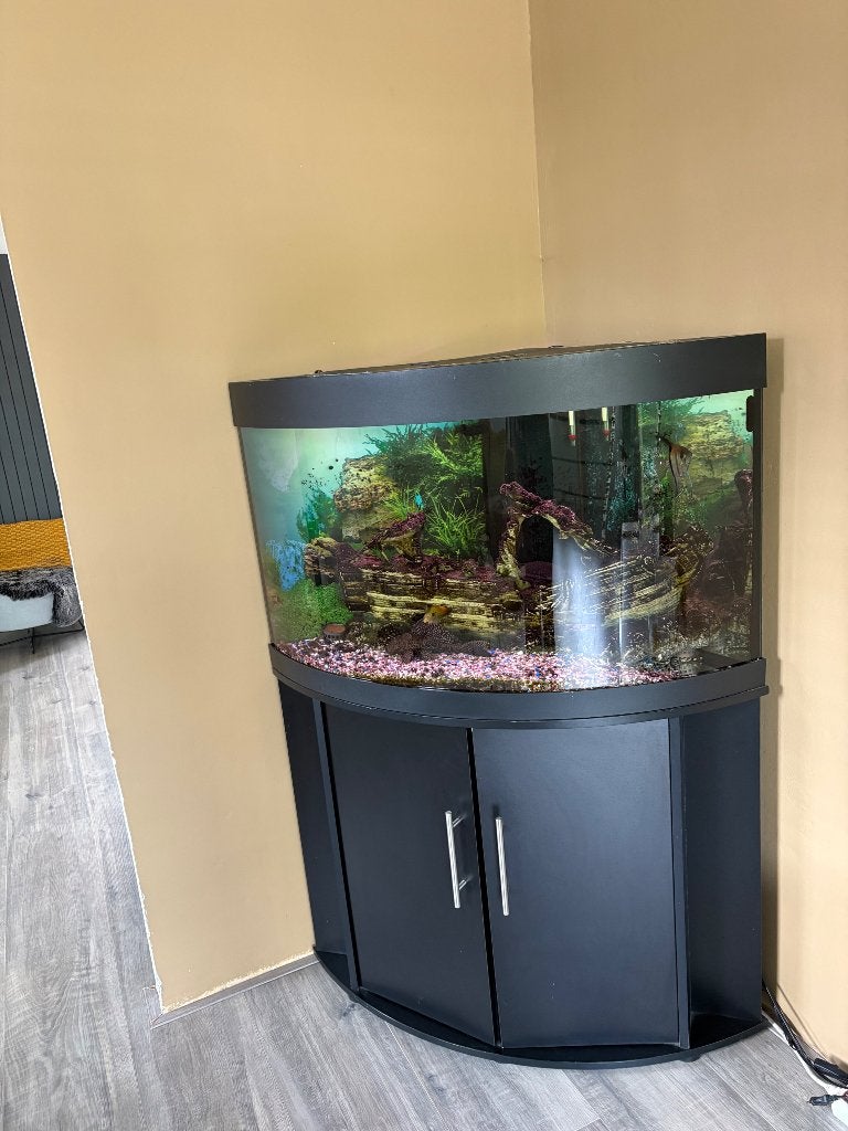 Aquarium, Dieren en Toebehoren, Ophalen, Gebruikt, Inclusief vissen, Overige merken