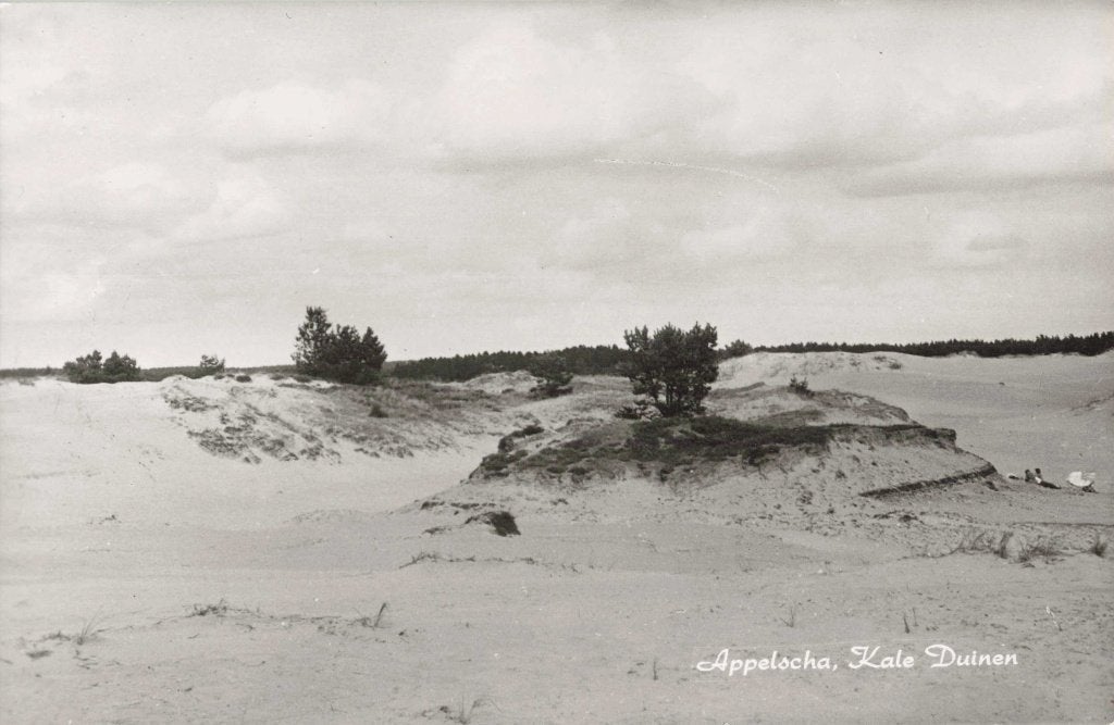 Appelscha Kale Duinen L2980, Ophalen, 1960 tot 1980, Ongelopen, Friesland
