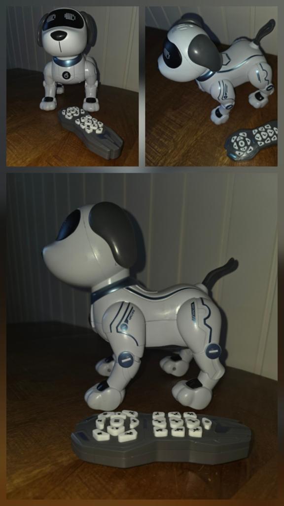 Interactieve Robot Hond met Afstandsbediening, Ophalen of Verzenden, Gebruikt, Jongen of Meisje