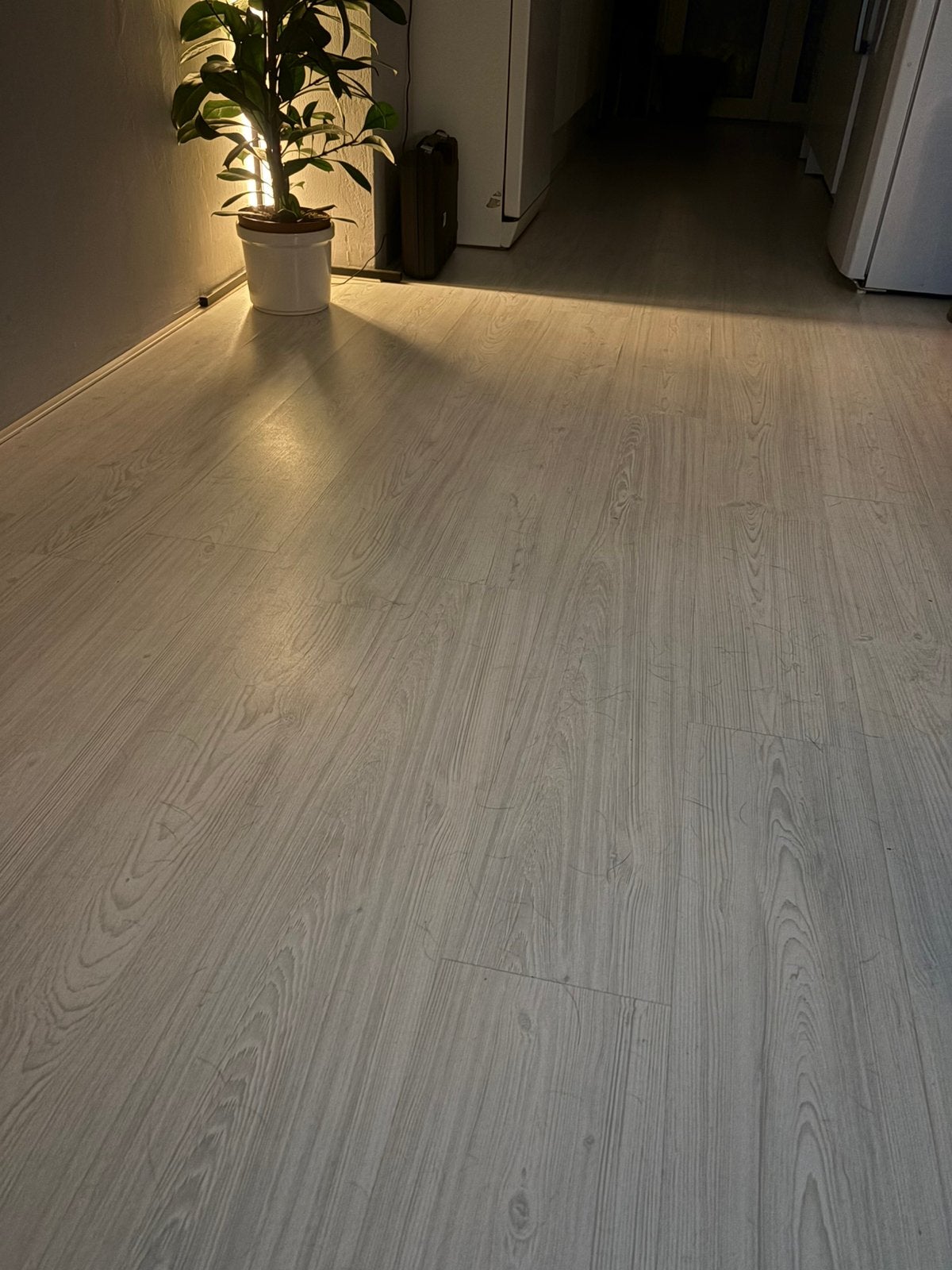 Gratis ca. 30m2 laminaat. Goed lezen, Huis en Inrichting, Ophalen, Gebruikt, Wit, 25 tot 50 m²