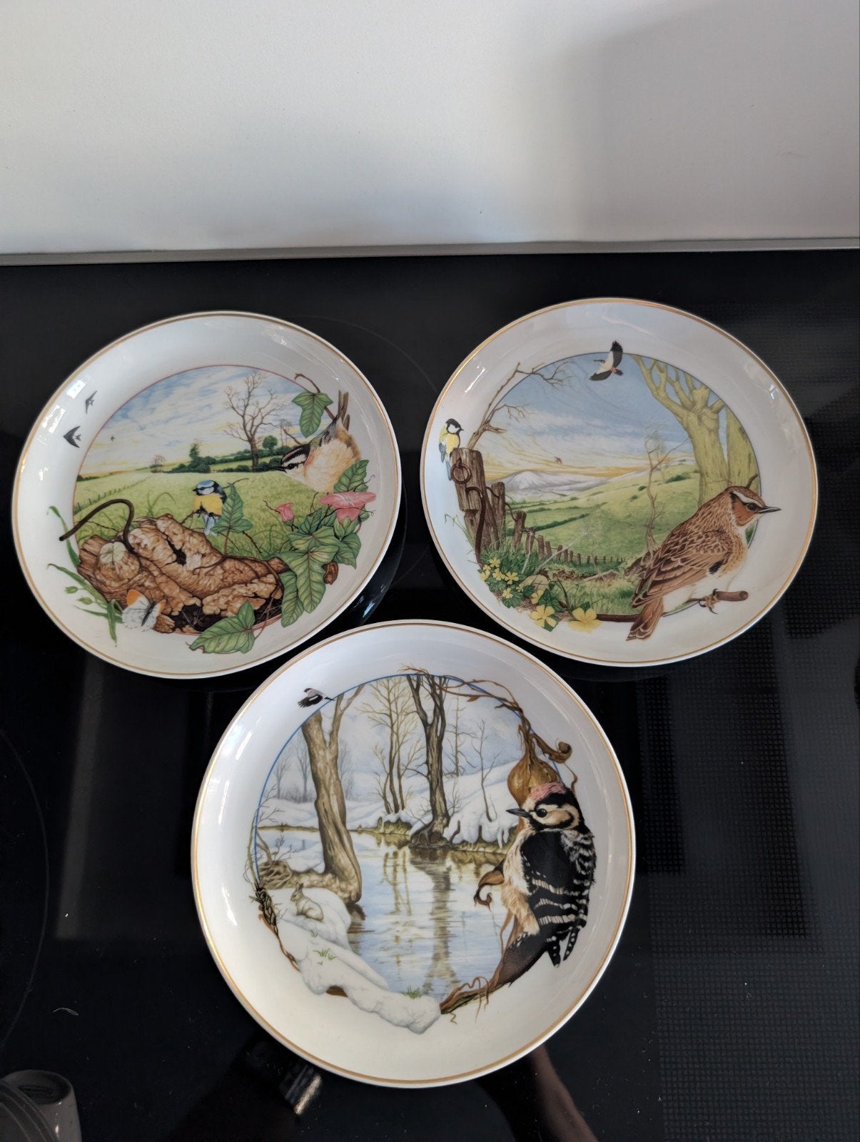 Azberg wandborden 3 stuks met vogels, natuur, Ophalen of Verzenden