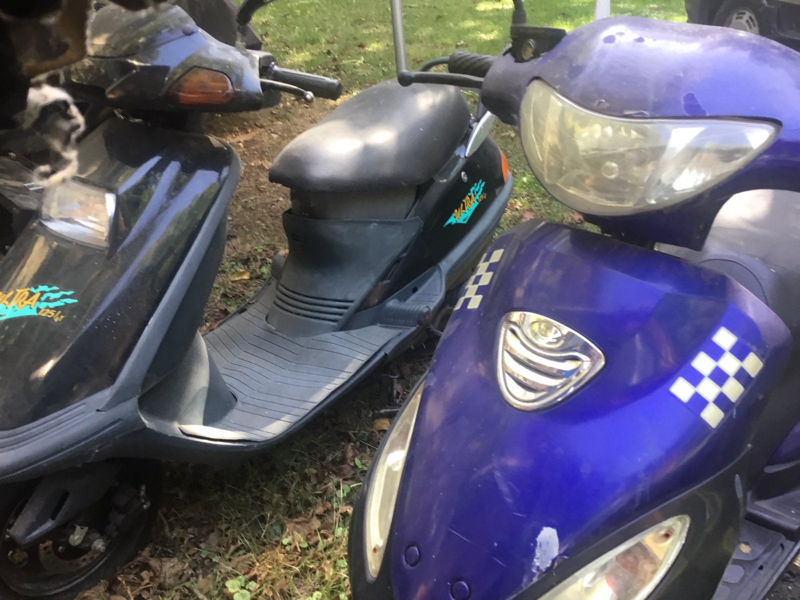 Project , voor onderdelen scooter 45 cc en Motor , geen pap, Fietsen en Brommers, Scooters | Yamaha, Ophalen of Verzenden, Zo goed als nieuw