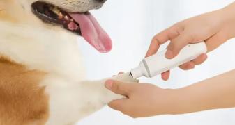 Professionele elektronische nagelschaar voor honden, Dieren en Toebehoren, Ophalen of Verzenden, Nieuw