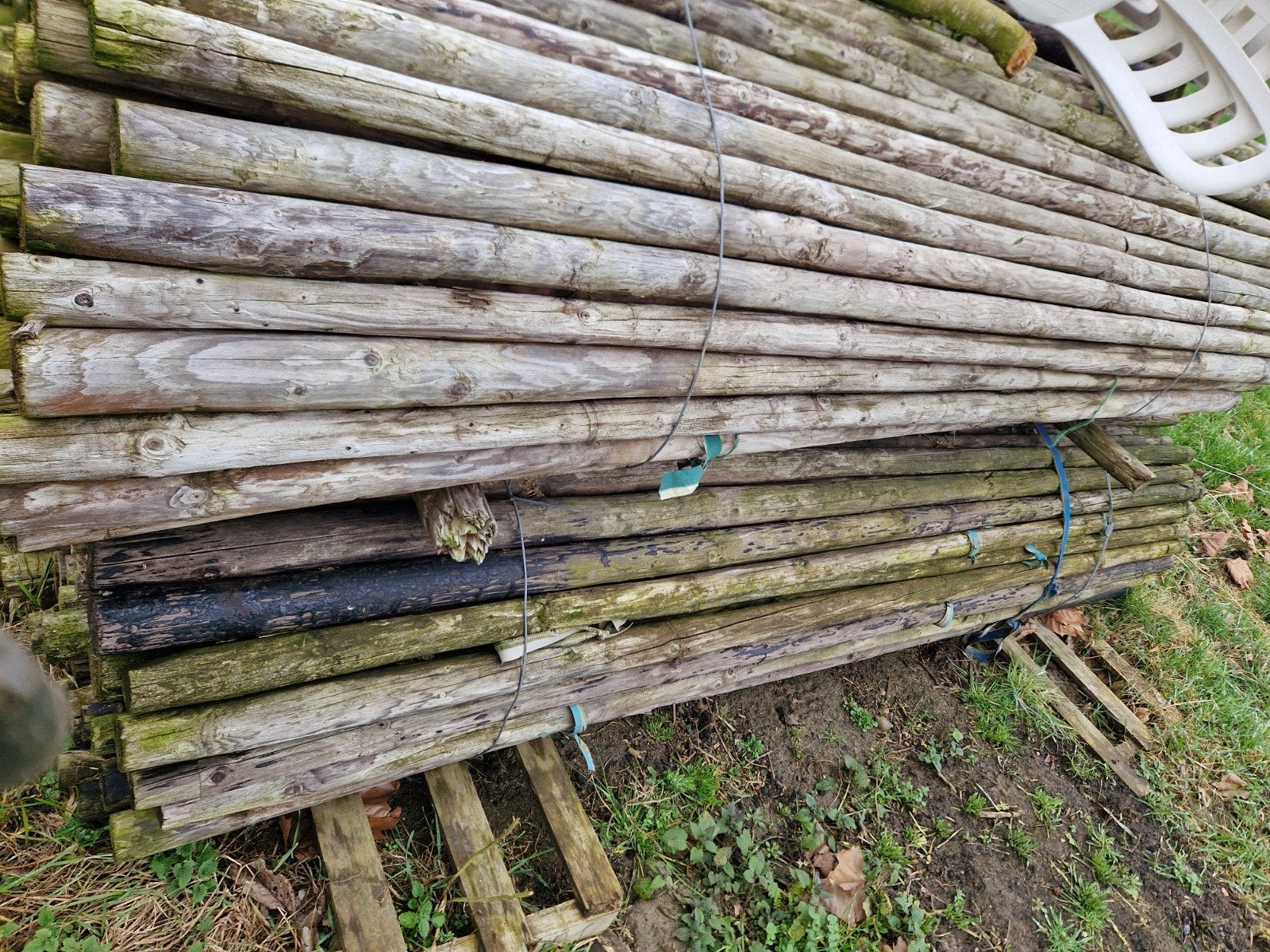 Fruitboompalen 2,5 meter lang, gebruikt in zeer goede staat, Ophalen, Gebruikt, 250 cm of meer, Palen