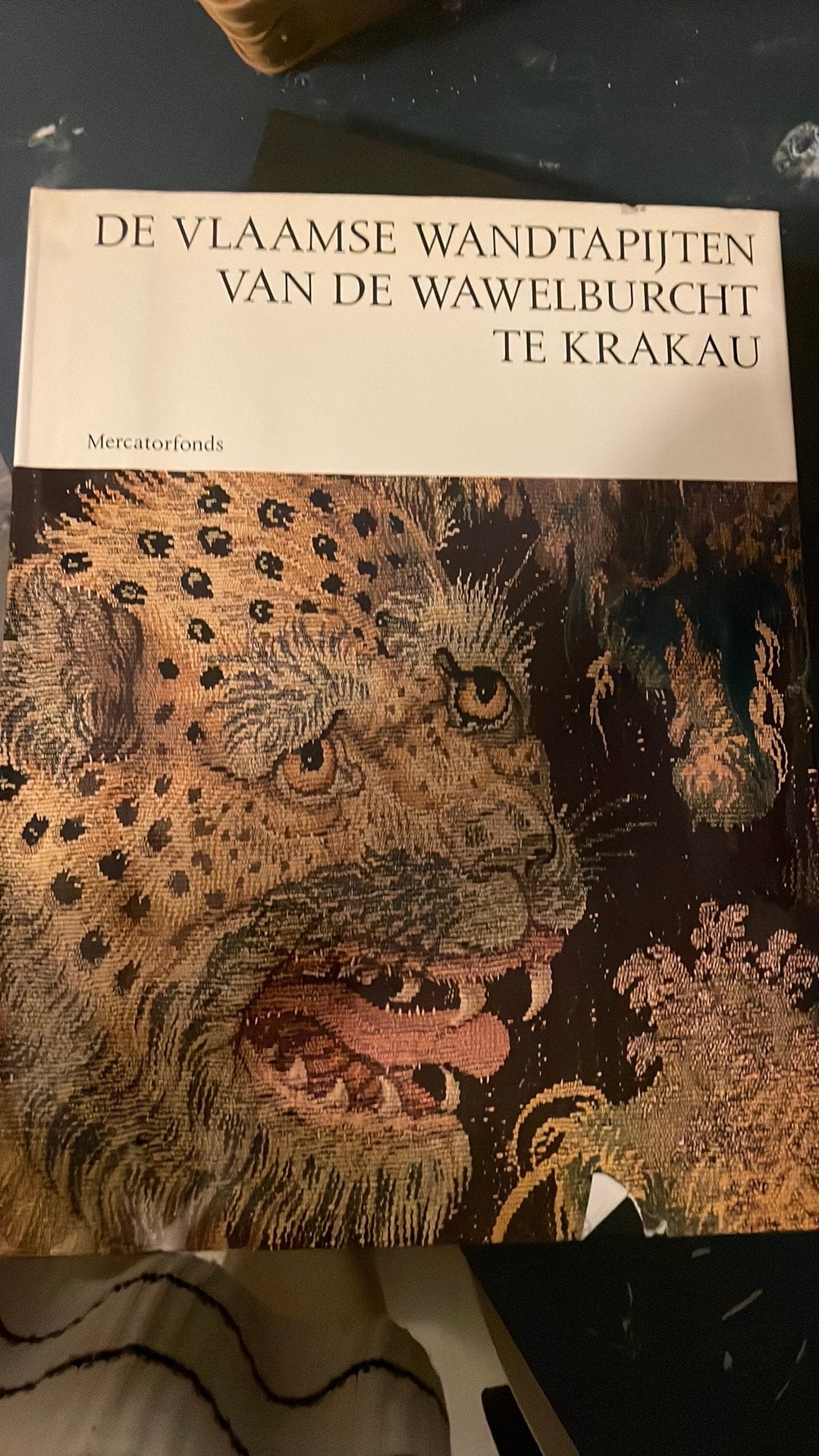 De Vlaamse Wandtapijten van de Wawelburcht te Krakau, Boeken, Ophalen of Verzenden, Zo goed als nieuw, Europa