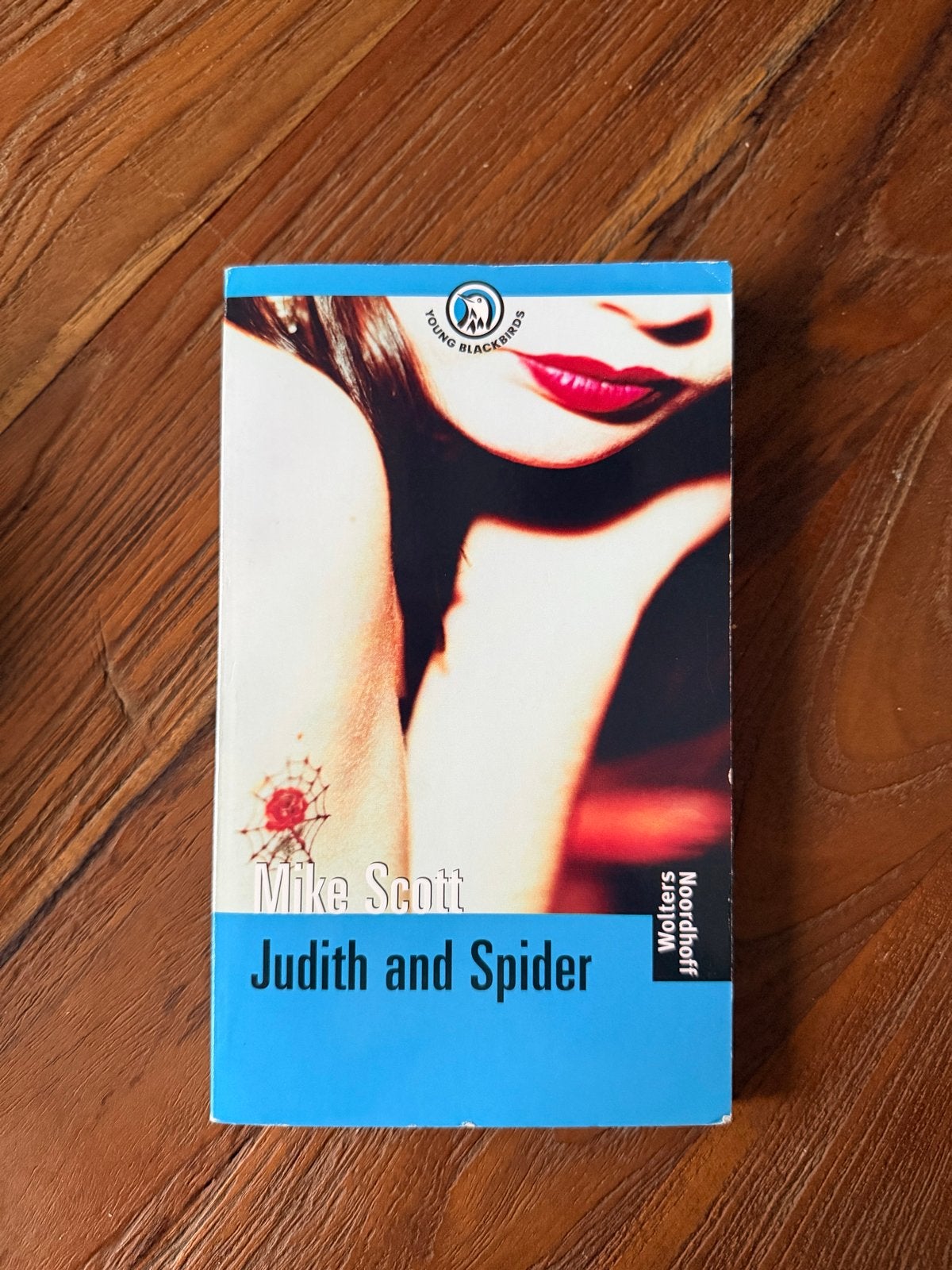 Judith and Spider - Mike Scott (Young Blackbirds), Boeken, Verzenden, Gelezen, Fictie