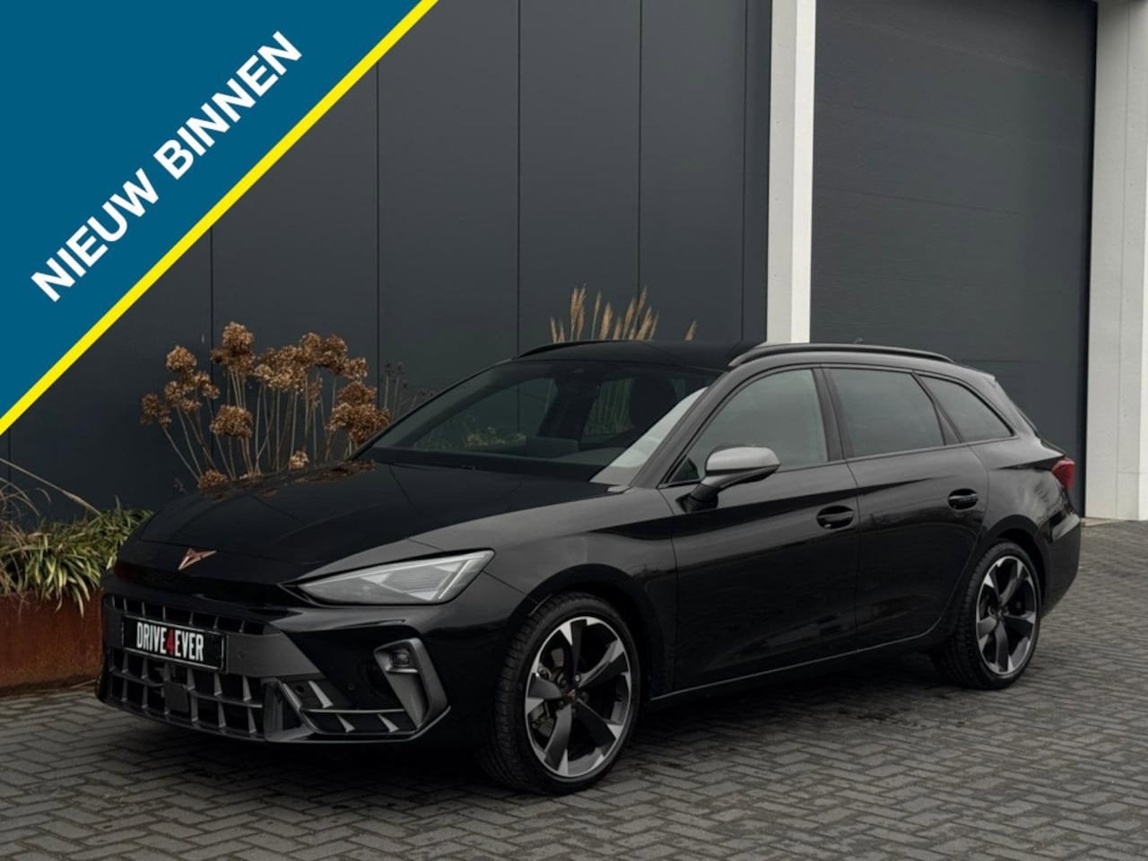 Cupra León