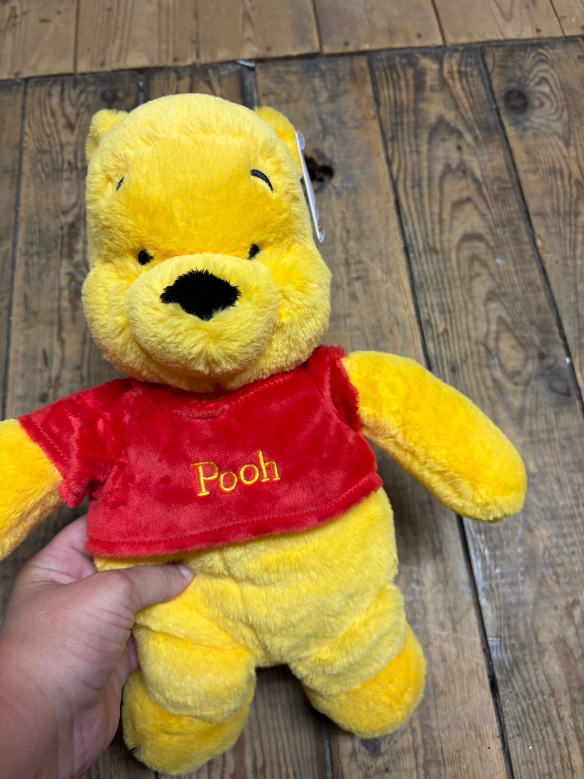 Pooh knuffel, Ophalen, Zo goed als nieuw, Overige typen
