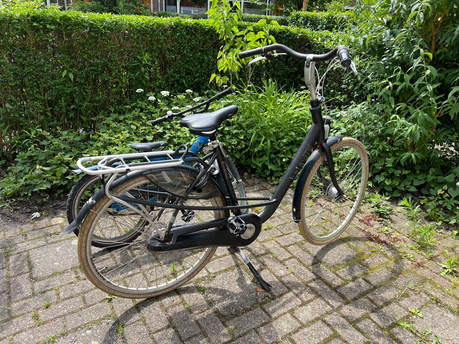 Batavus Mambo moederfiets, Ophalen, Batavus, Versnellingen, Schijfrem
