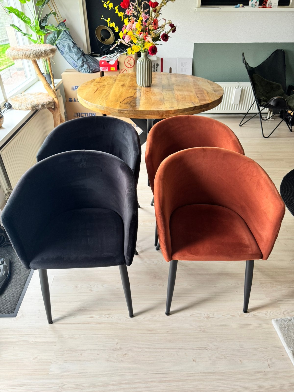 Eetkamerstoelen, Ophalen, Gebruikt, Zwart, Vier