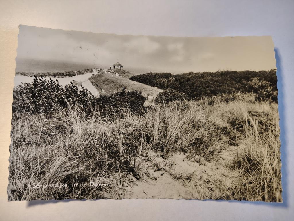 Scharendijke In de Duinen, Ophalen of Verzenden