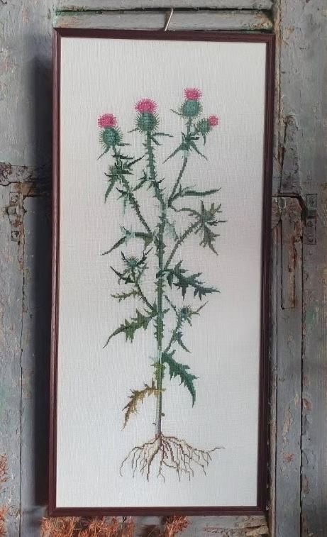 Geborduurd ingelijst schilderij, distels, Ophalen, Zo goed als nieuw, Minder dan 50 cm, Schilderij