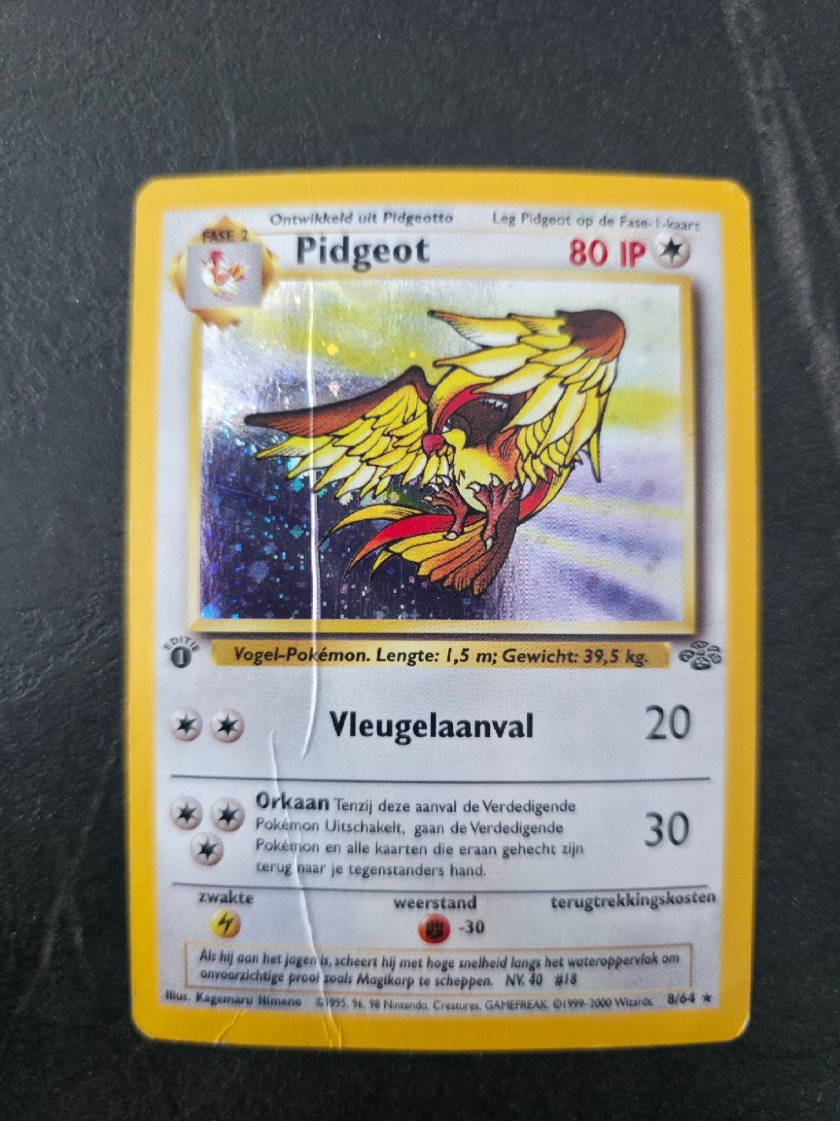 Pidgeot 8/64 Jungle 1ST EDITION 🇳🇱, Ophalen of Verzenden, Gebruikt