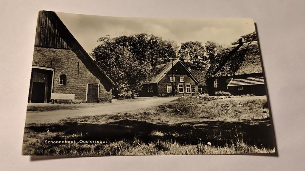 Schoonebeek Oostersebos, Ophalen of Verzenden