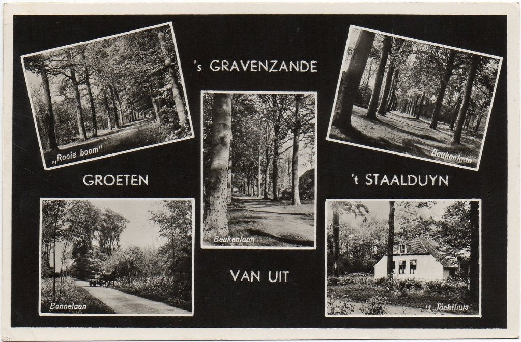 's-Gravenzande  Groeten van uit 't Staalduyn, Ophalen of Verzenden, Gelopen, Zuid-Holland