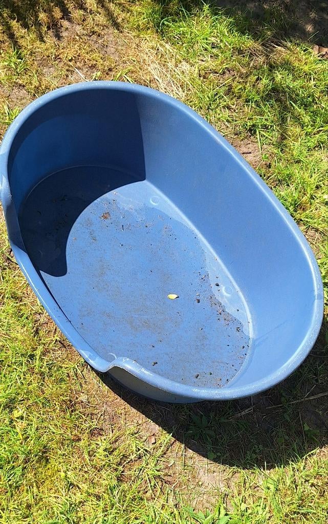 Hondenmand  65cm bij 40cm, Dieren en Toebehoren, Ophalen, Riet