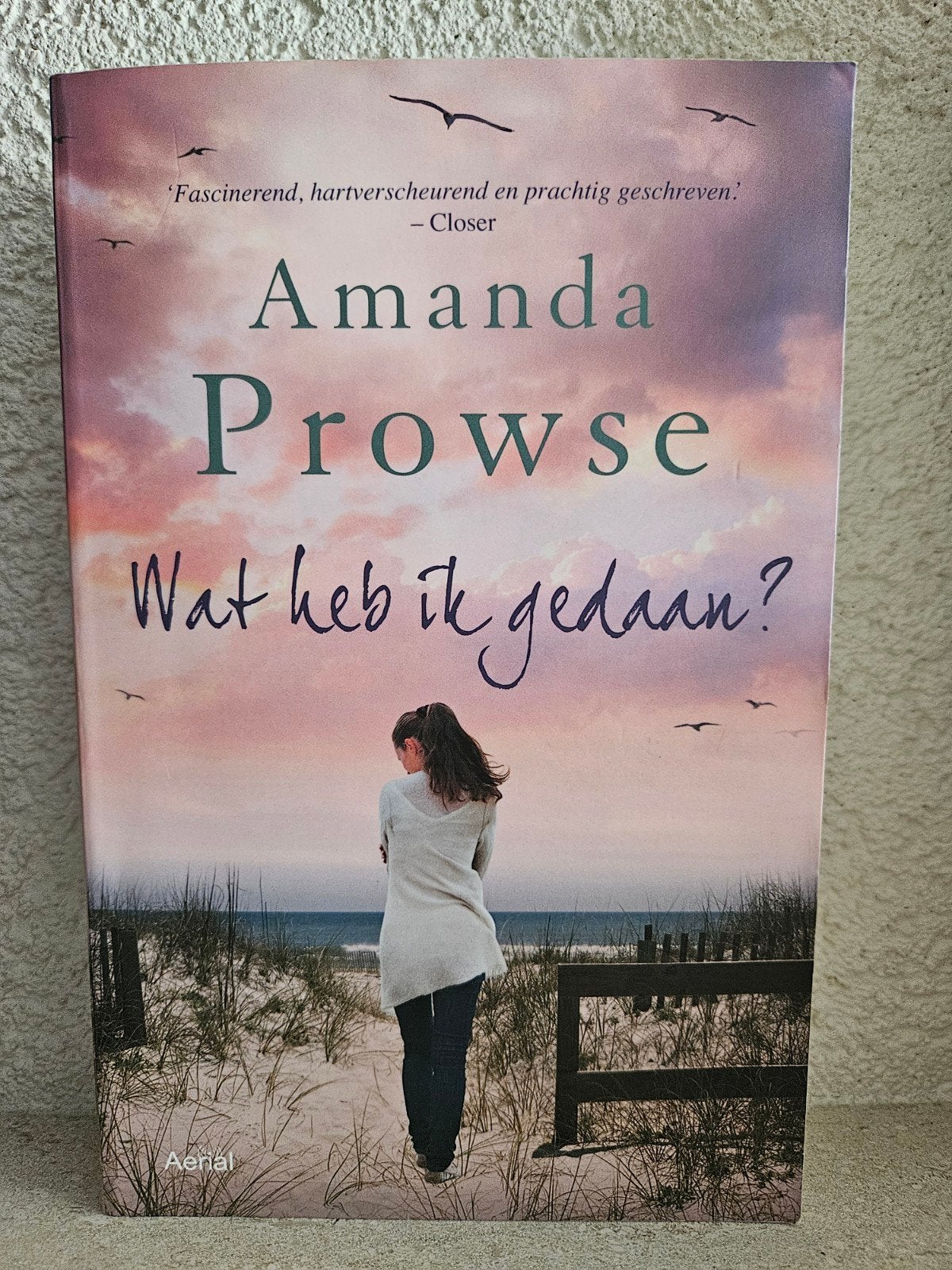 Amanda Prowse - Wat heb ik gedaan? (Roman), Ophalen of Verzenden, Gelezen, Amanda Prowse, Nederland