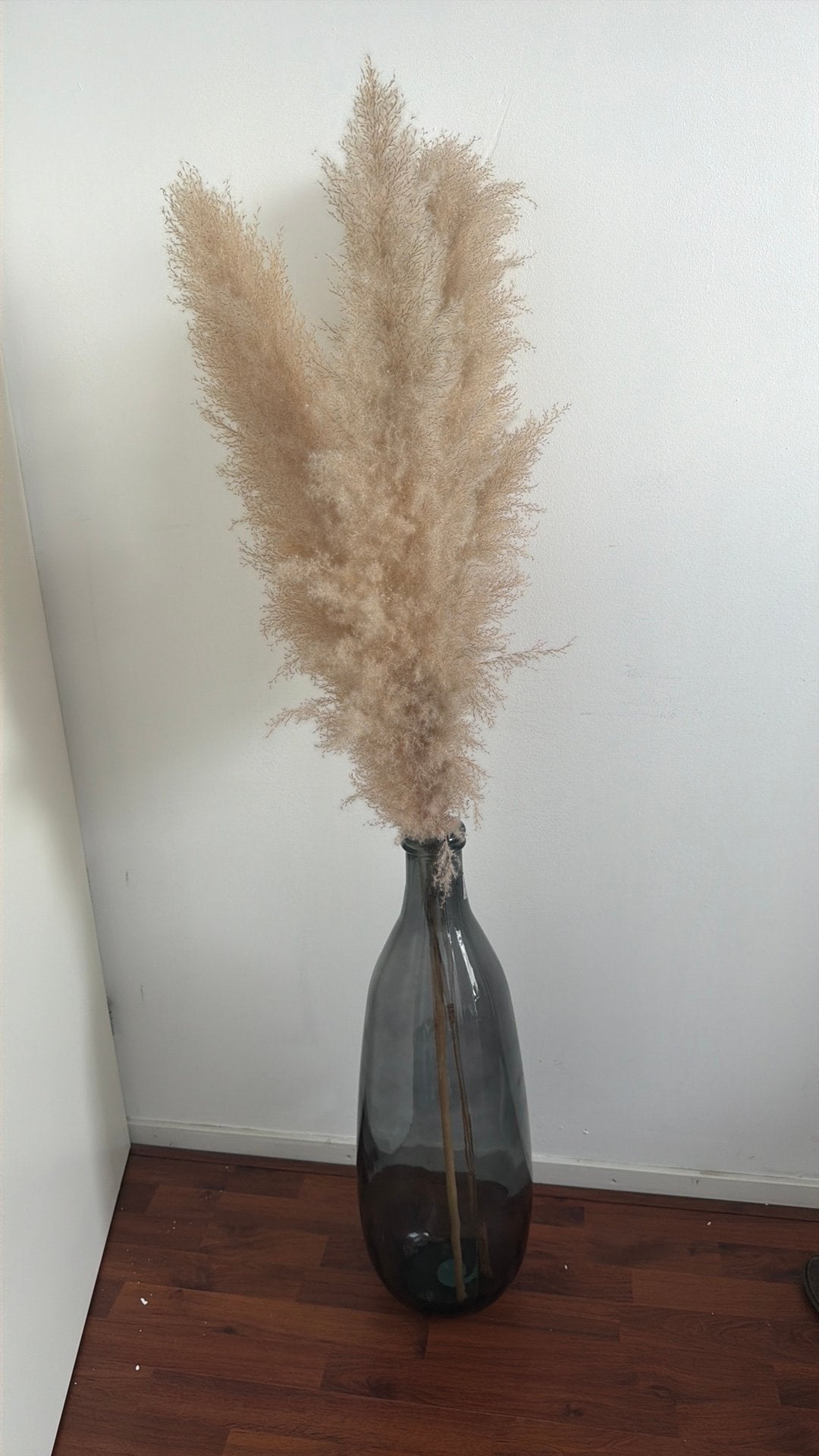 Vaas met pampas, Ophalen, Zo goed als nieuw