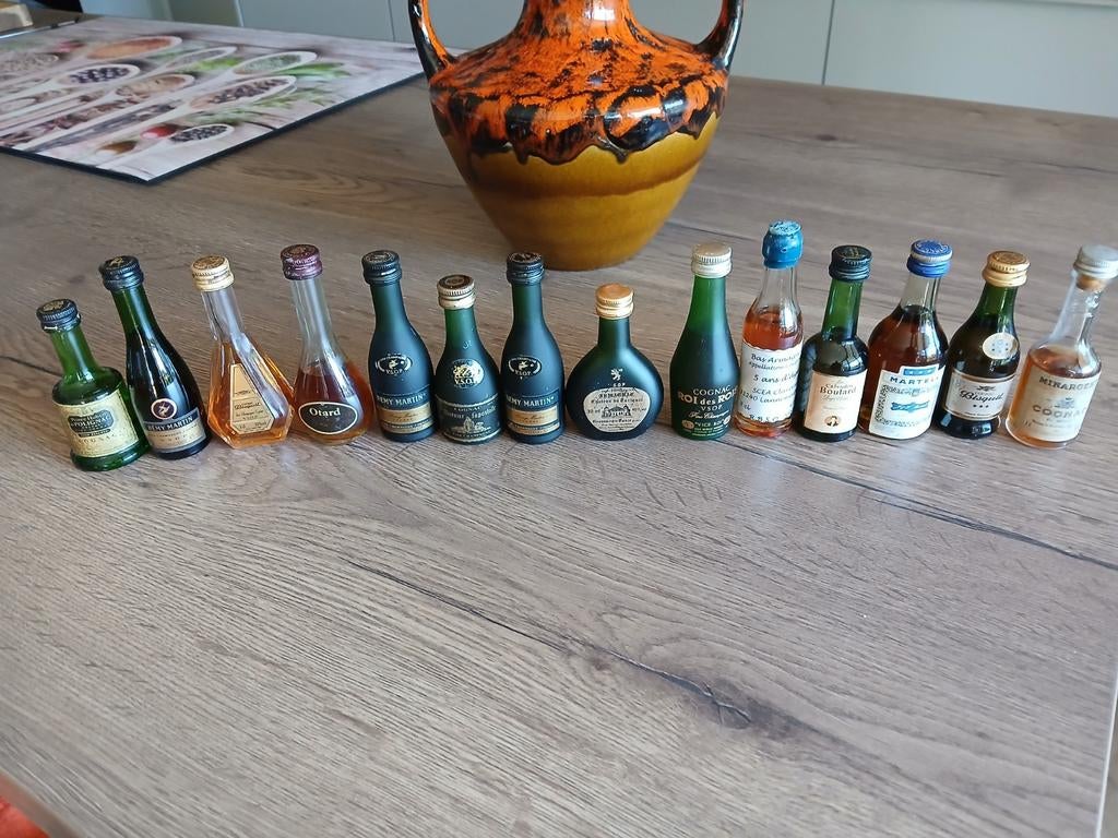 14 x verzamel miniatuurflesjes flesjes cognac mini  drank, Ophalen of Verzenden, Zo goed als nieuw, Overige typen