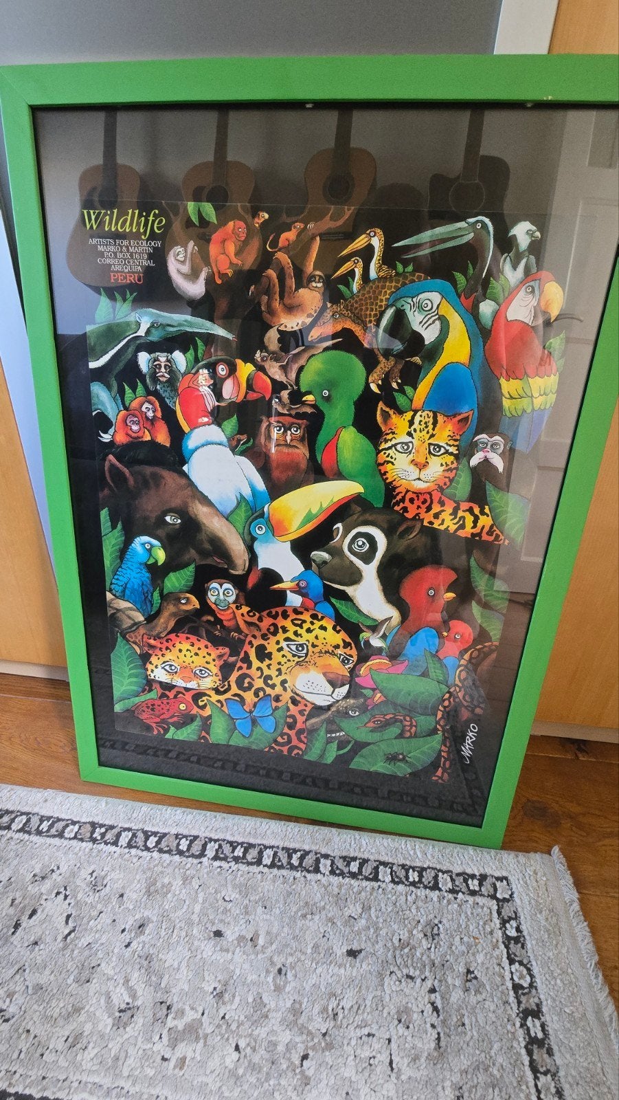 2x Amazonia en Wildlife glas frame posters met lijst, Ophalen, Gebruikt, 50 tot 75 cm, Schilderij