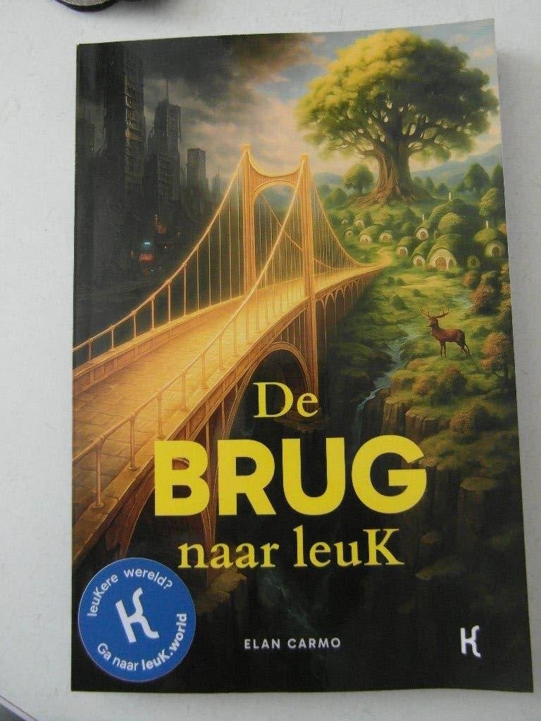 De brug naar Leuk, Ophalen of Verzenden, Zo goed als nieuw