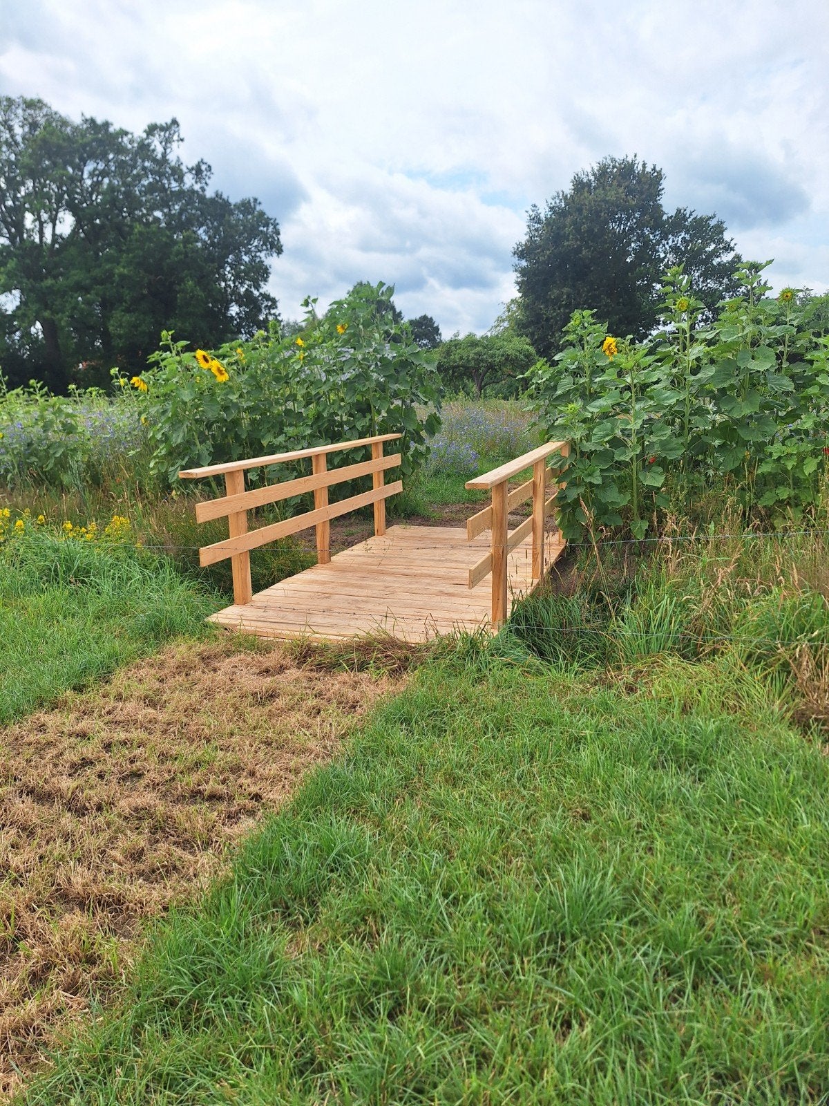 Houten bruggetje voor tuin of landschap, Ophalen, Nieuw