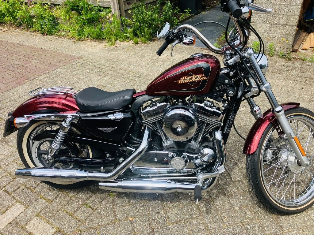 Harley Davidson sporster XL 1200 seventy two 72 forty eight, Motoren, Motoren | Harley-Davidson, 2 cilinders, Occasion, Chopper