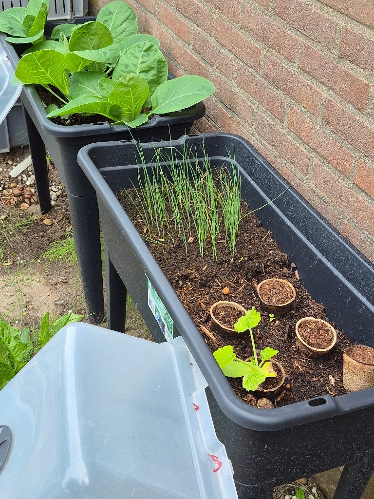 kweekbakken groot, Ophalen, Zo goed als nieuw, Kweekbak