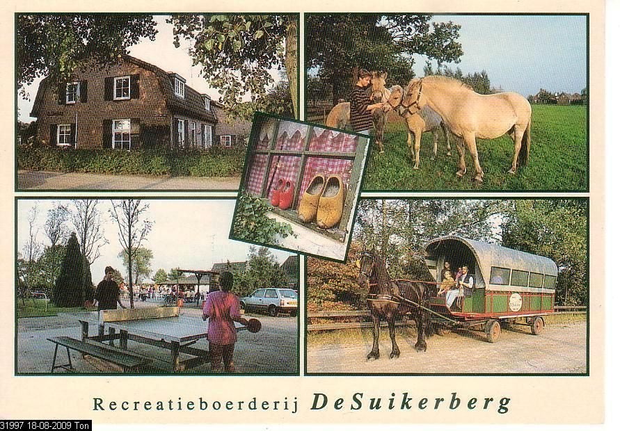 Ansichtkaart 	Loon op Zand	De Suikerberg	Recreatieboerderij, Verzenden, 1960 tot 1980, Gelopen, Noord-Brabant