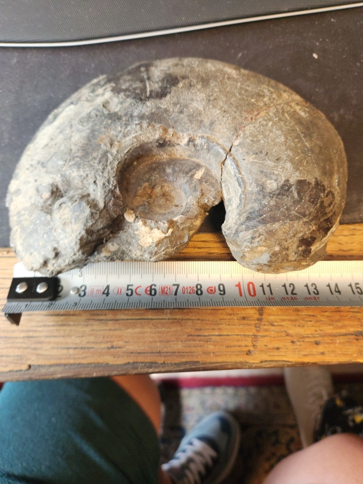 Grote Ammoniet Fossiel - Uniek Prehistorisch Stuk, Ophalen of Verzenden, Fossiel