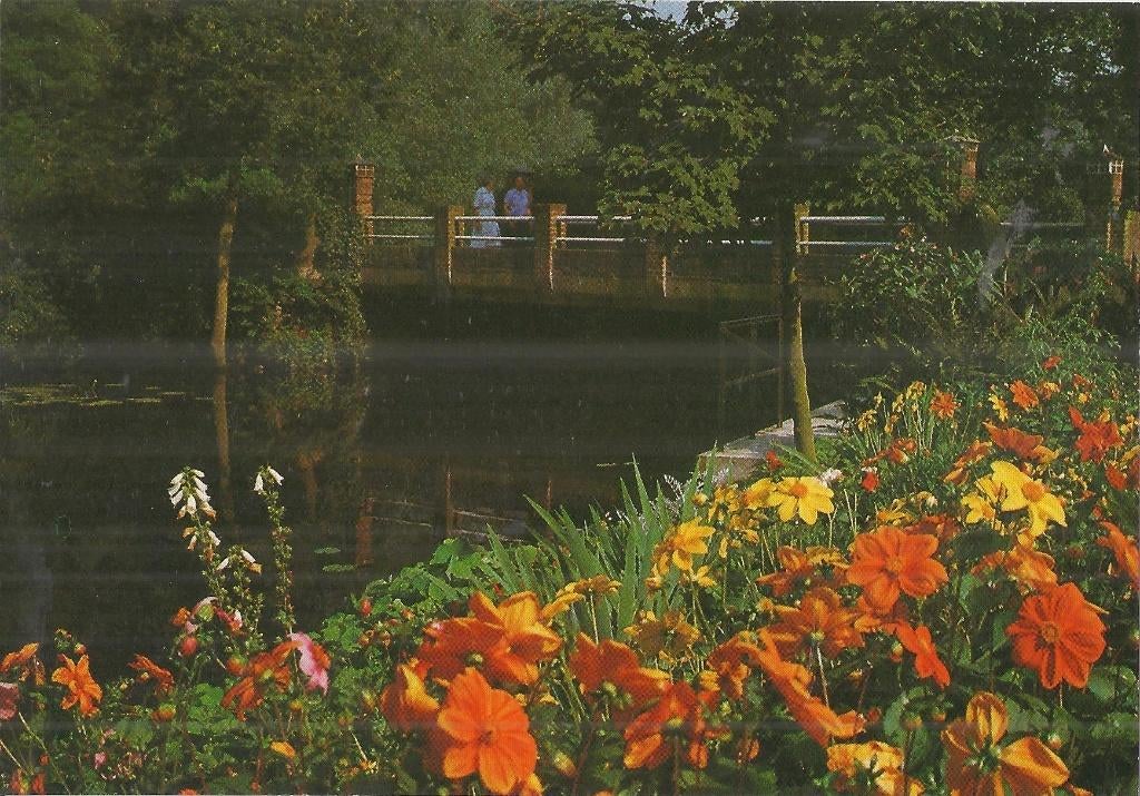 K5816 Ongelopen ansichtkaart kasteel stein bloemen border, Verzamelen, Ansichtkaarten | Nederland, Verzenden, 1960 tot 1980, Ongelopen