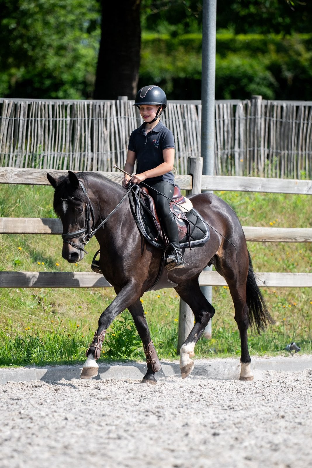 Super lieve new forest merrie !, Merrie, Springpony, 3 tot 6 jaar, D pony (1.37m tot 1.48m)