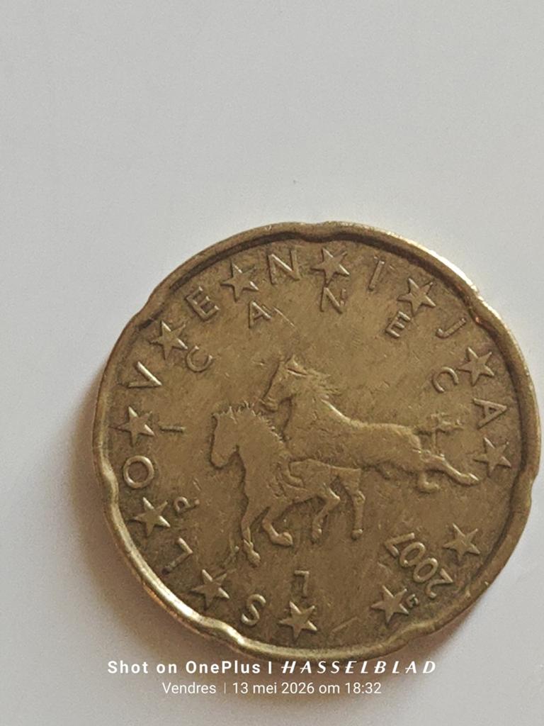 20 Cent munt uit 2007 - Slovenië, Postzegels en Munten, Munten | Europa | Euromunten, Ophalen of Verzenden, Slovenië, 20 cent
