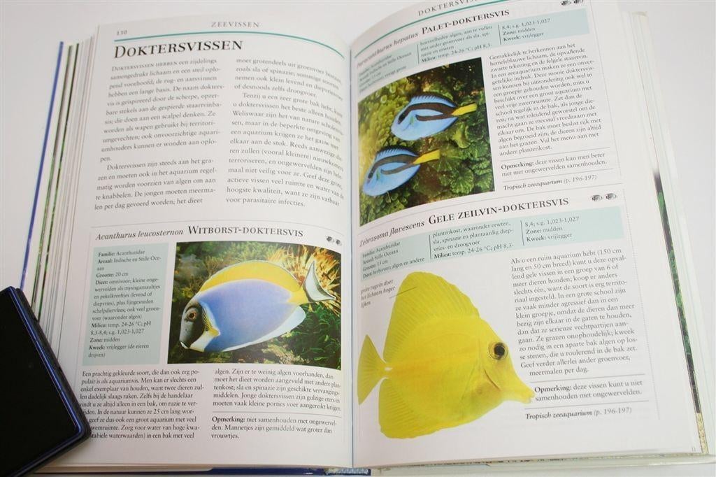 Aquarium Vraagbaak — Alles over het Houden van Vissen, Ophalen of Verzenden, Gelezen, Vissen