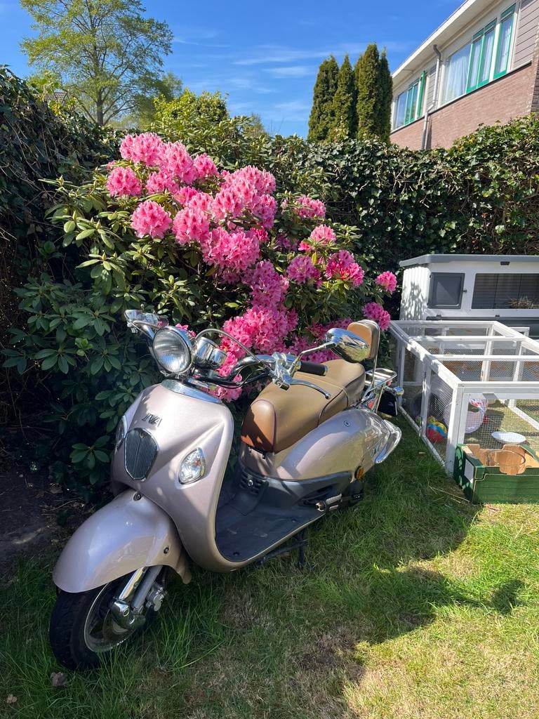 Iva retro scooter, Ophalen, Zo goed als nieuw, Benzine, Overige modellen