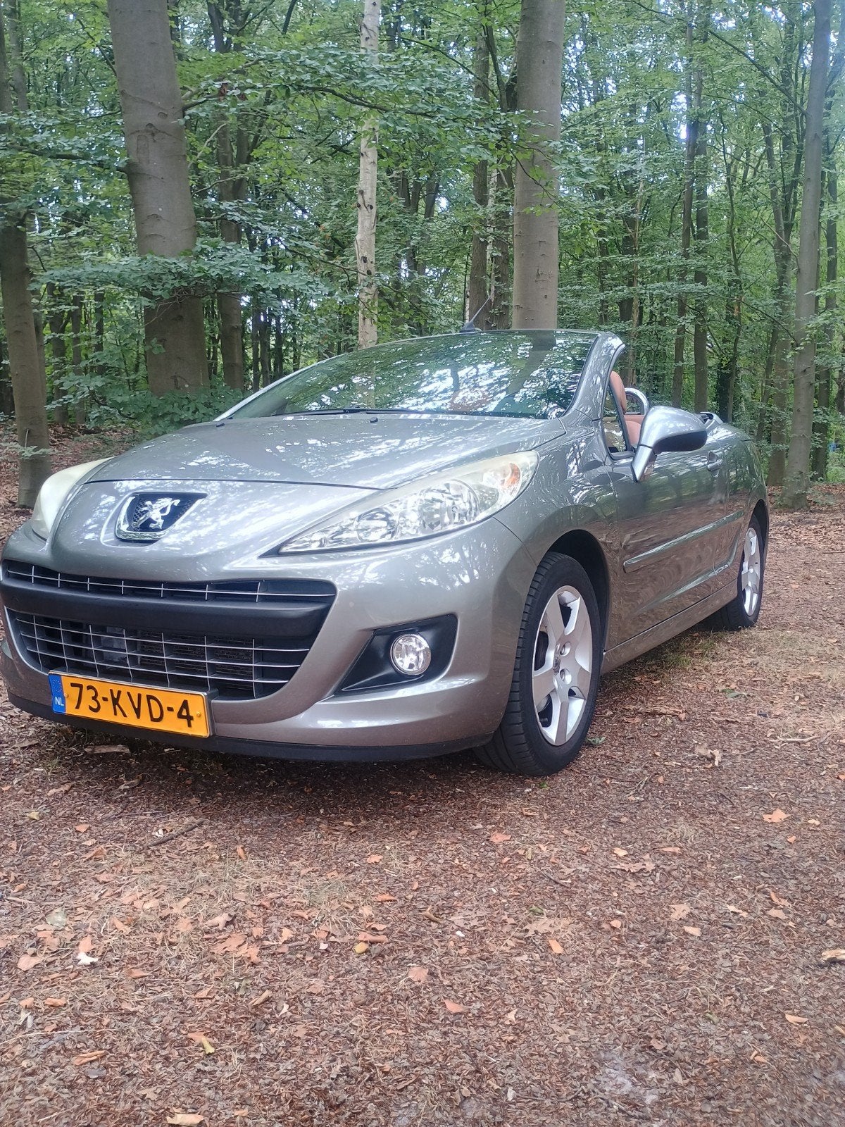 Peugeot 207 1.6 VTI CC 88KW AUT 2010 Grijs, Auto's, 4 cilinders, Cabriolet, 4 stoelen, 119 pk