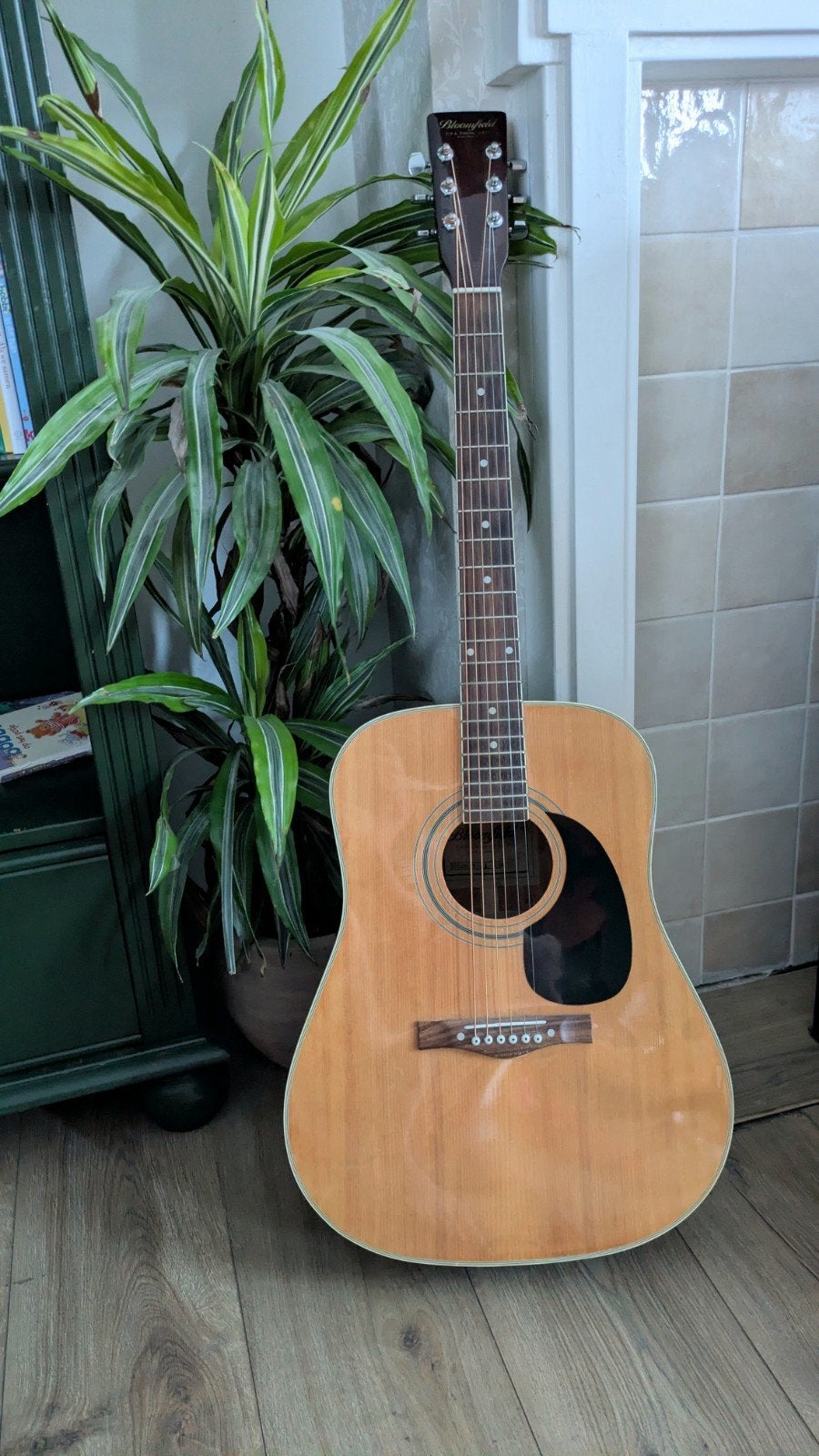 Bloomfield western gitaar, Ophalen, Gebruikt, Western- of Steelstringgitaar