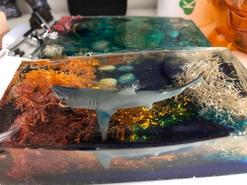2 kleine diorama’s van een haai en een rog in de zee, Ophalen of Verzenden, Zo goed als nieuw, 1:50 of kleiner, Diorama
