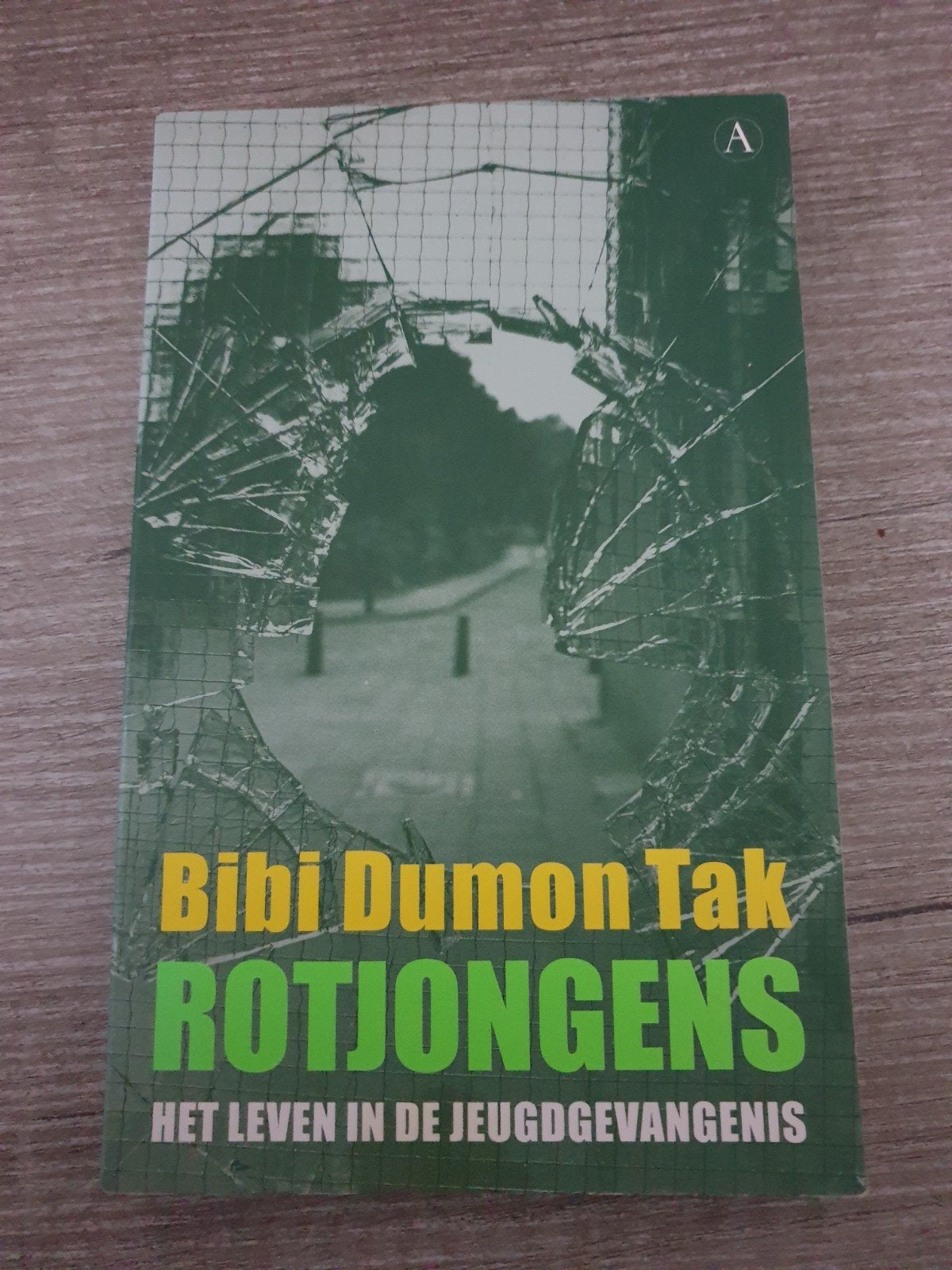 Rotjongens - Het leven in de jeugdgevangenis, Ophalen of Verzenden, Gelezen, Bibi Dumon Tak