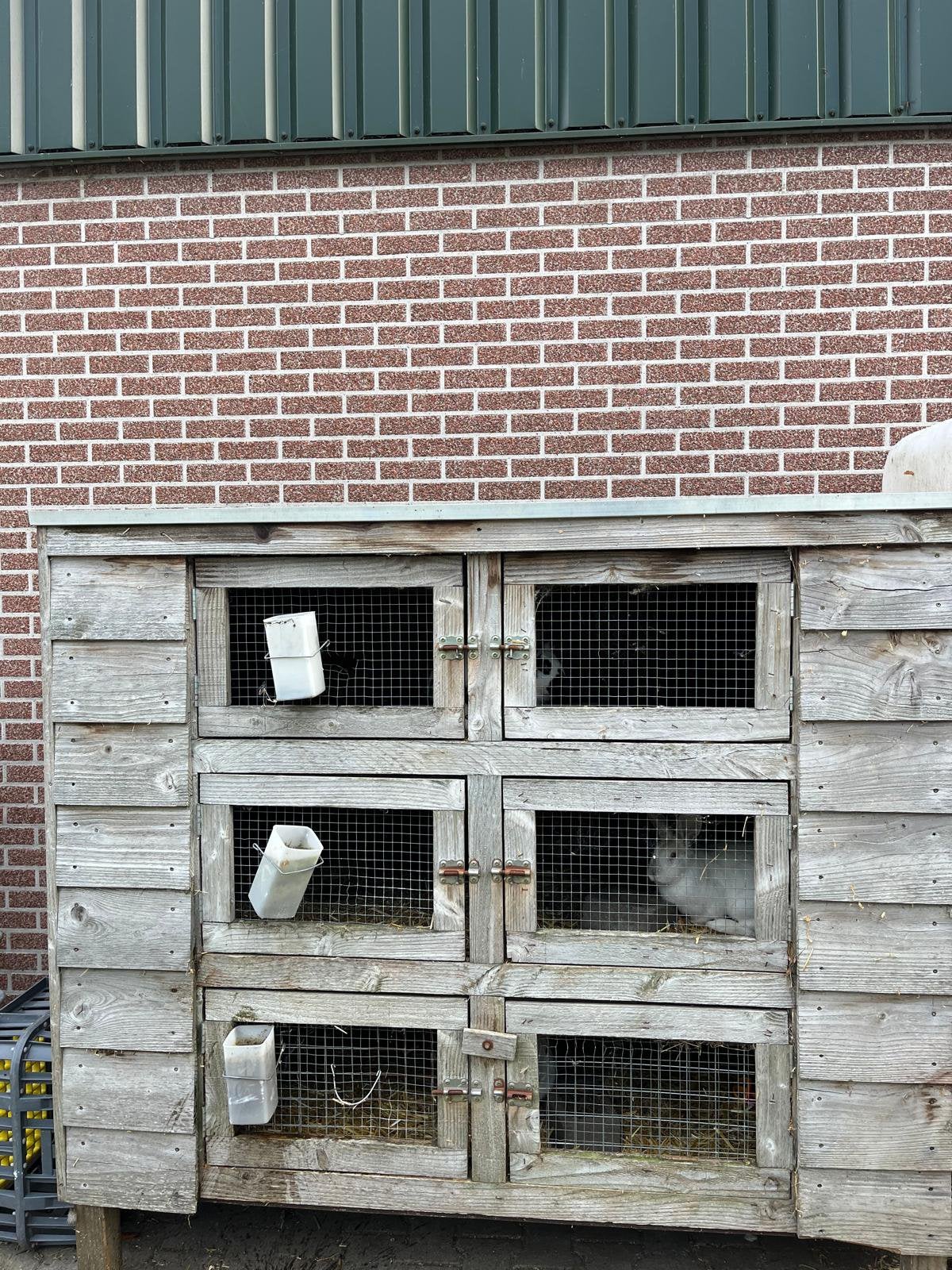 Prachtige mooie konijnenhok te koop, Dieren en Toebehoren, Ophalen, 110 cm of meer, Zo goed als nieuw, 90 cm of meer