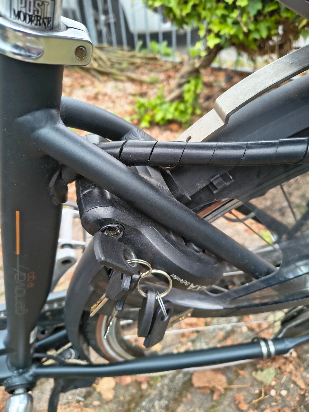 Foto 9 van Batavus Genova elektrische fiets