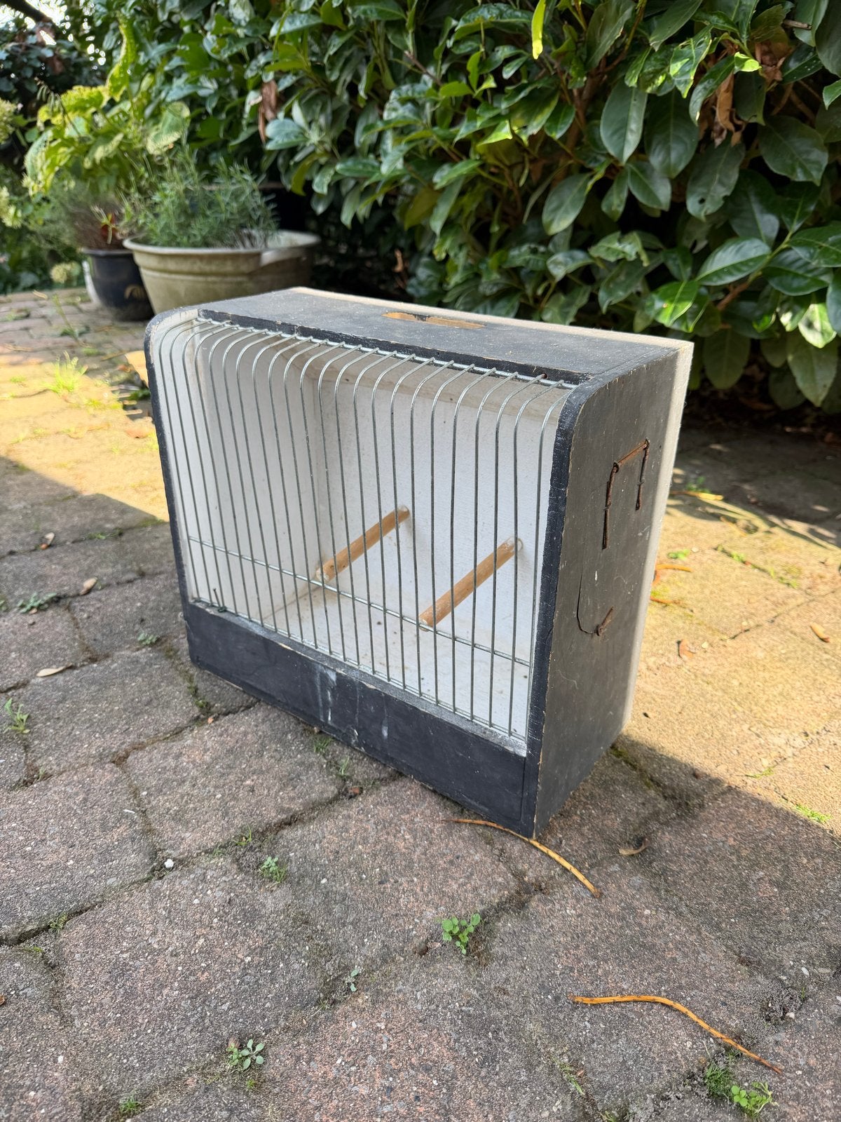 Vogelkooi, Ophalen of Verzenden, Gebruikt, Hout, Vogelkooi