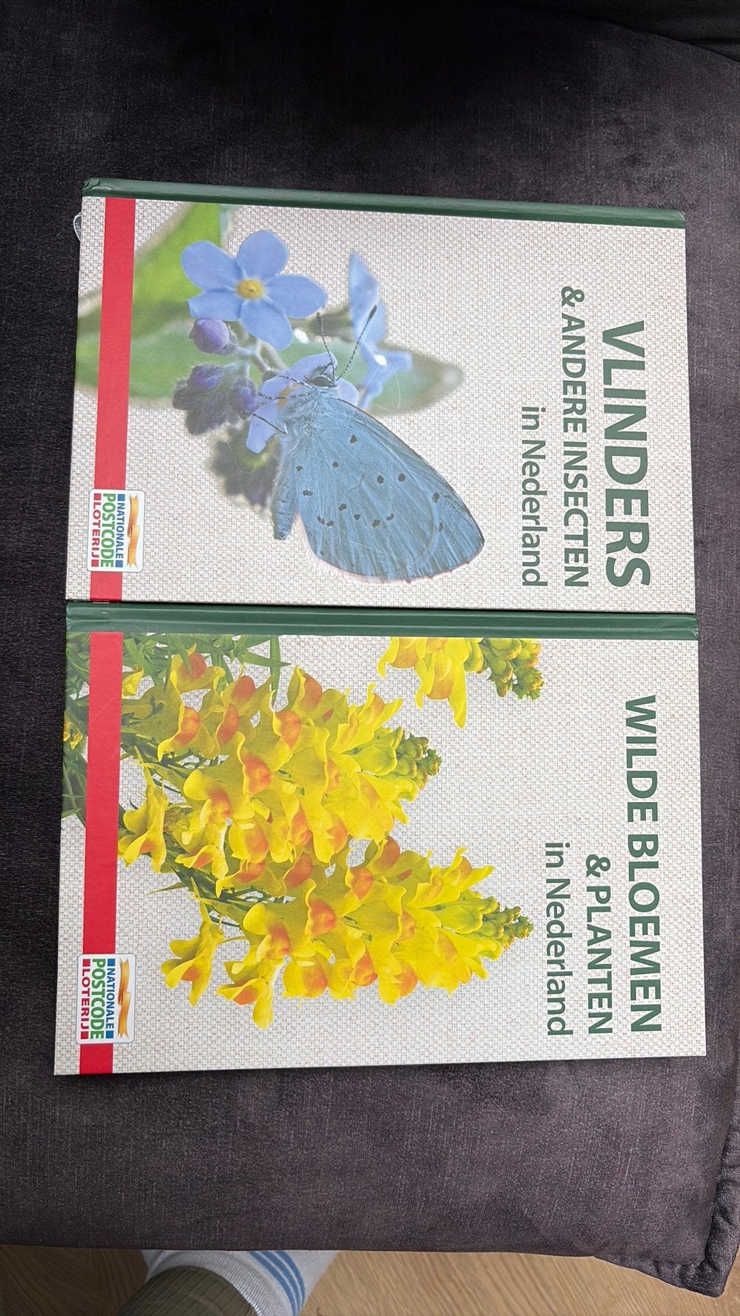 Planten & Vlinder boekjes, Ophalen of Verzenden, Nieuw, Natuur algemeen