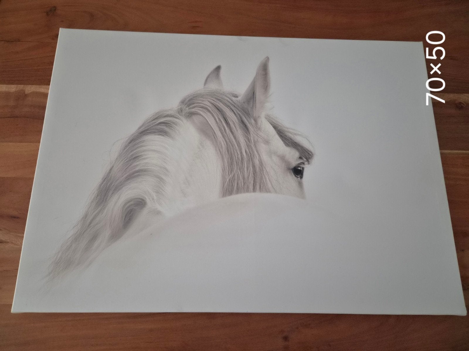 Witte canvas paard 7050 cm, Ophalen, Gebruikt, 50 tot 75 cm, 50 – 75