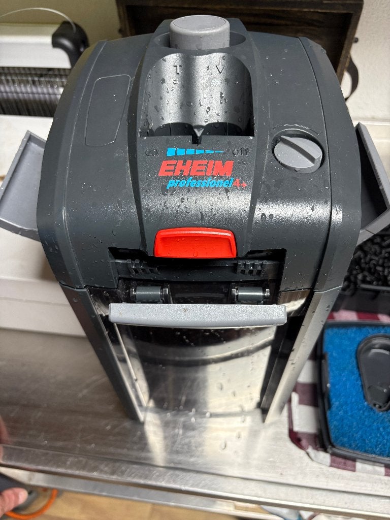 Eheim Professionel 4 plus 600 (2275), buitenfilter, Dieren en Toebehoren, Ophalen, Inclusief slangen, Eheim, Gevuld zoetwateraquarium