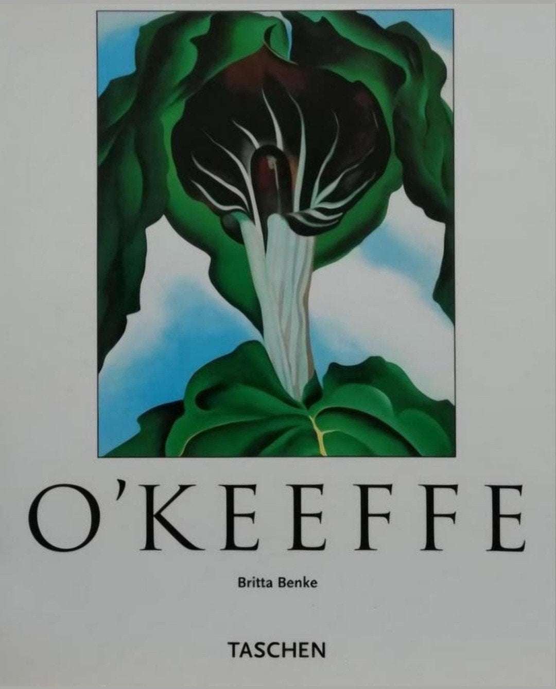 GEORGIA O'KEEFFE Taschen groot formaat Nederlands, Verzenden, Zo goed als nieuw